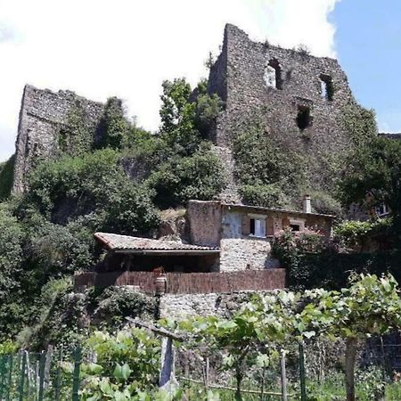 Gite Du Chateau De Retourtour Ламастр Екстериор снимка